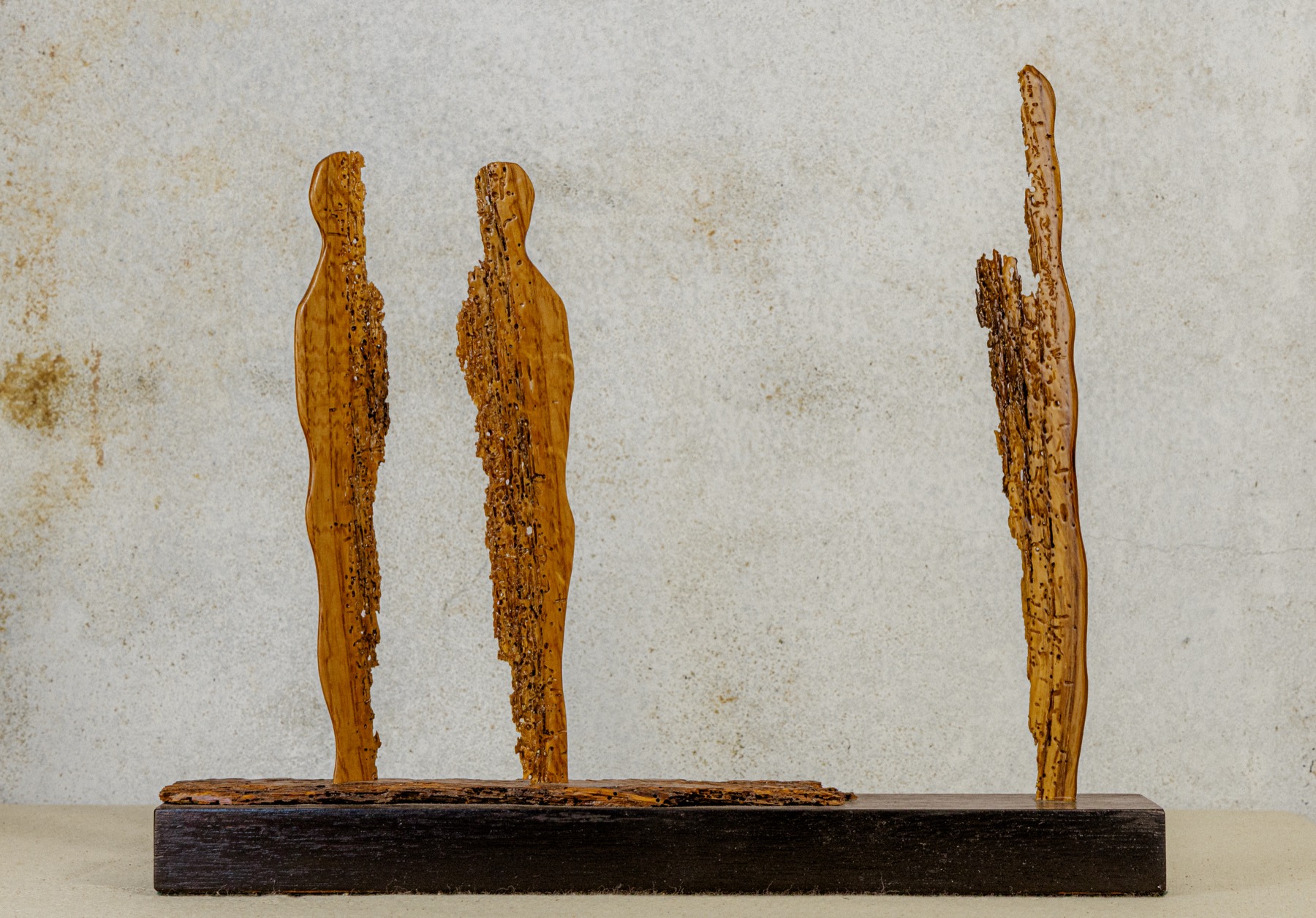 Set 1 — photograph 1
